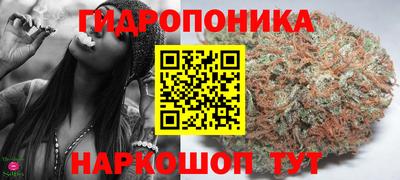 гашик Анапа