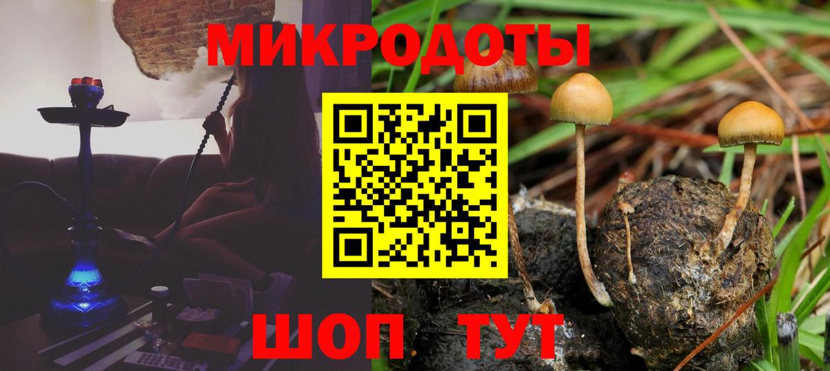 Псилоцибиновые грибы мицелий  Псилоцибиновые грибы MAGIC MUSHROOMS  Курчатов  Вход с VPN 