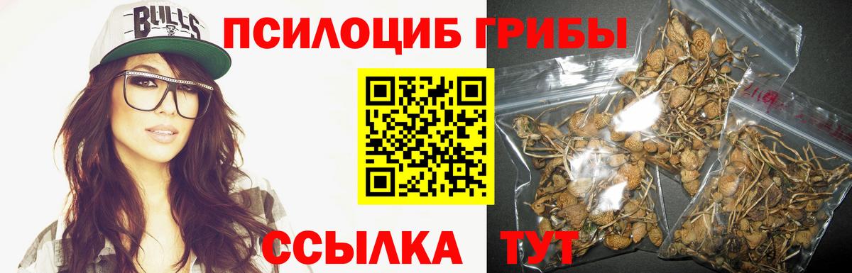 Псилоцибиновые грибы мухоморы Курчатов